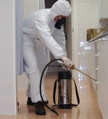 EMPRESA DESINFECCION AREA METROPOLITANA